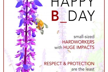 World Bee Day 2021