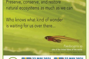World Biodiversity Day 2021
