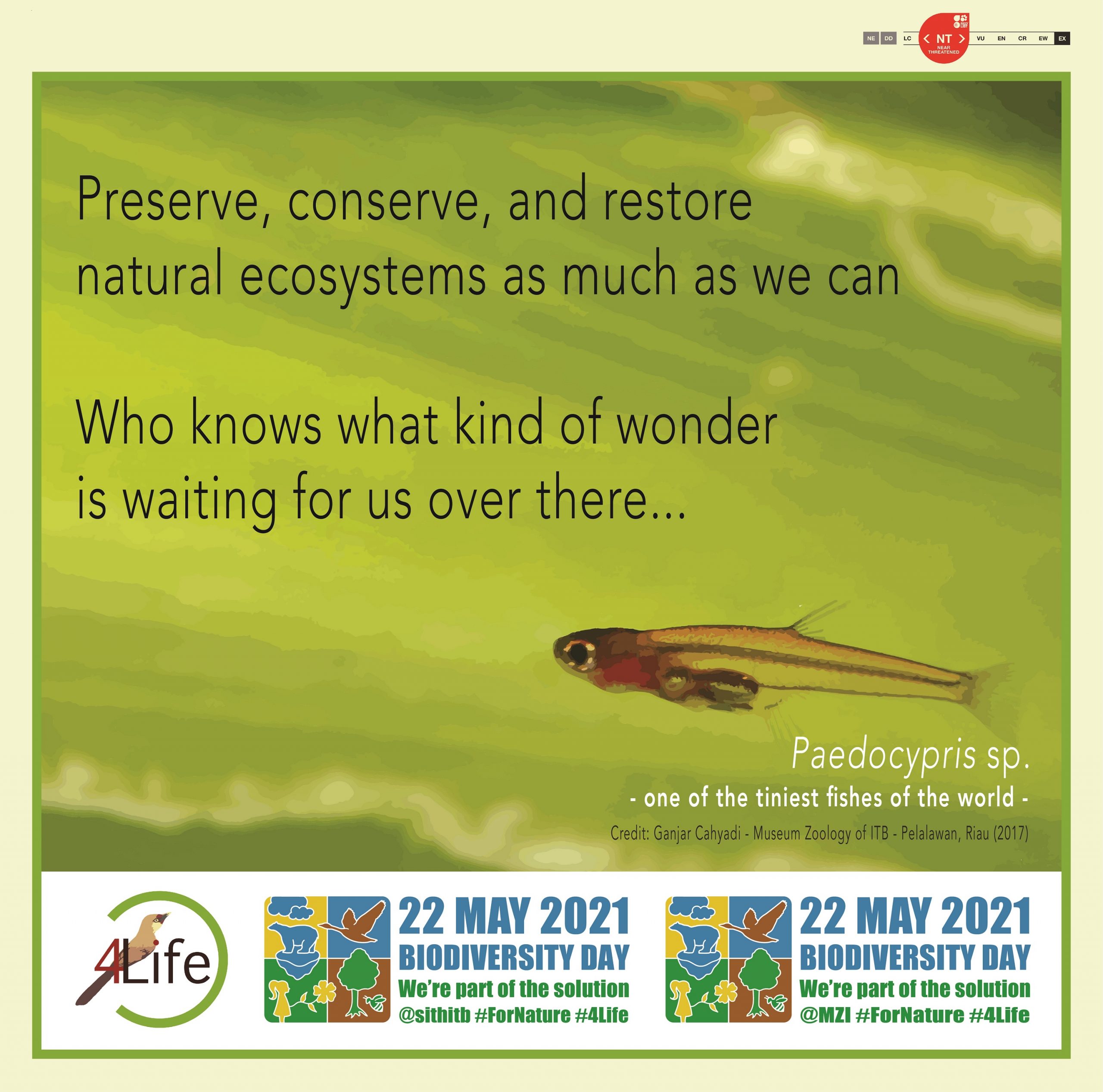 World Biodiversity Day 2021