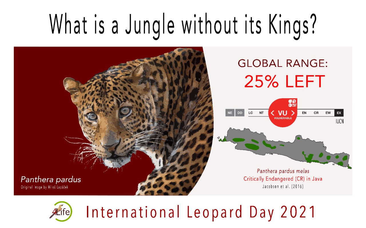 International Leopard Day 2021